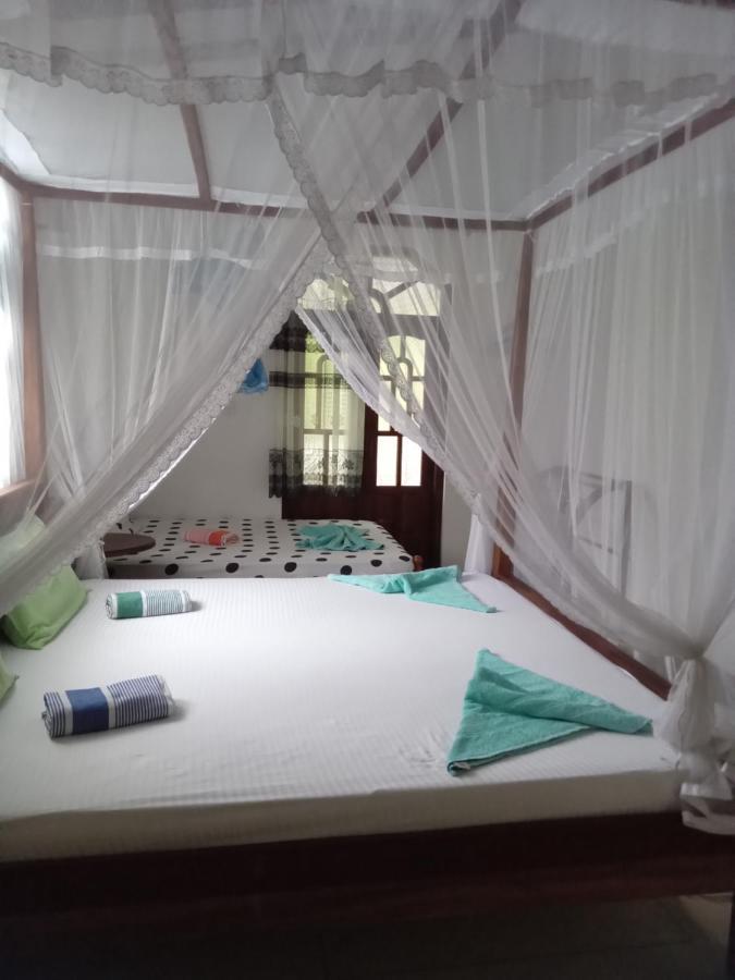 New Chili Lodge Mirissa Zewnętrze zdjęcie