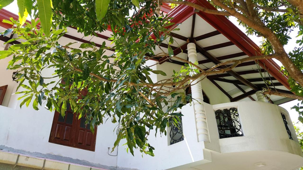New Chili Lodge Mirissa Zewnętrze zdjęcie