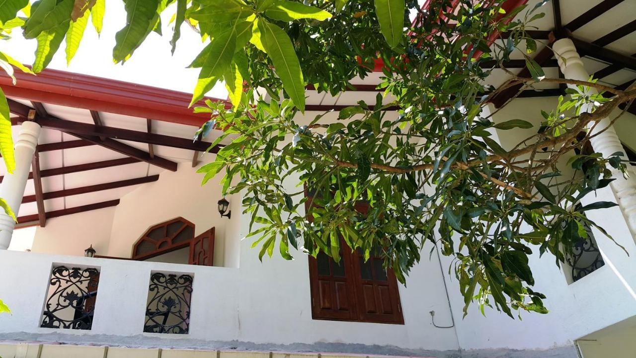 New Chili Lodge Mirissa Zewnętrze zdjęcie