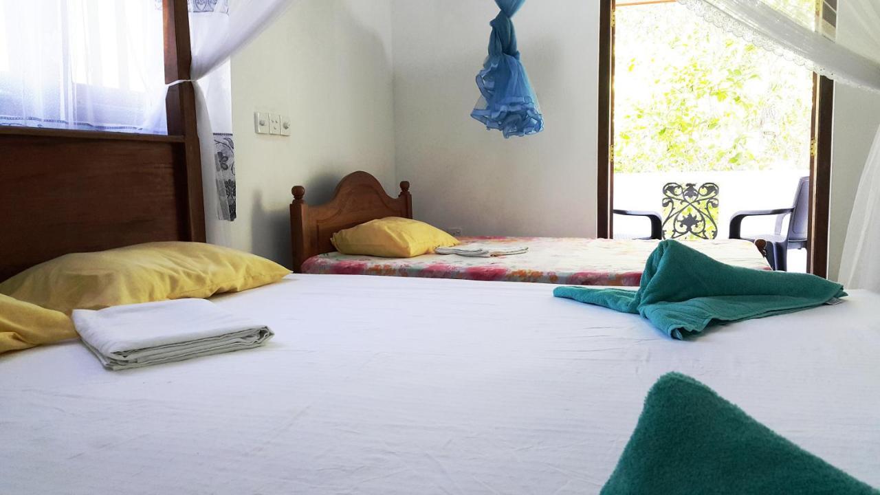 New Chili Lodge Mirissa Zewnętrze zdjęcie